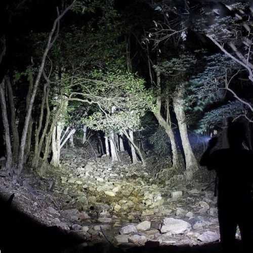 Fenix RC20 Rechargeable Flashlight | 1,000 Lumens - Image 4