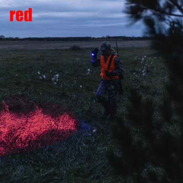 LEDLenser P6R CORE QC 4 Color Flashlight | Authorized Distributor - Image 2