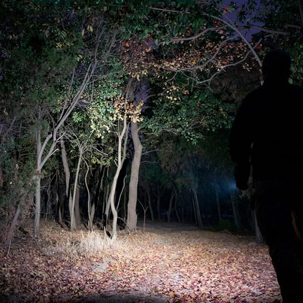 Olight I5T EOS Flashlight | 300 Lumens | Olight Distributor - Image 3